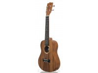 Tanglewood TWT 8 E Tanglewood TWT 8 E